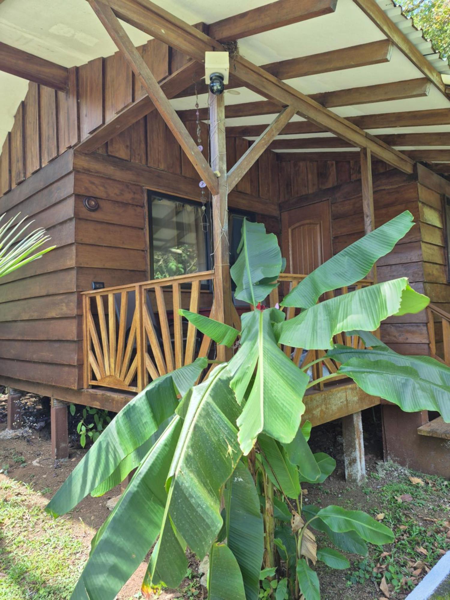 Centro Ananda Bed & Breakfast กวาปิเลส ภายนอก รูปภาพ