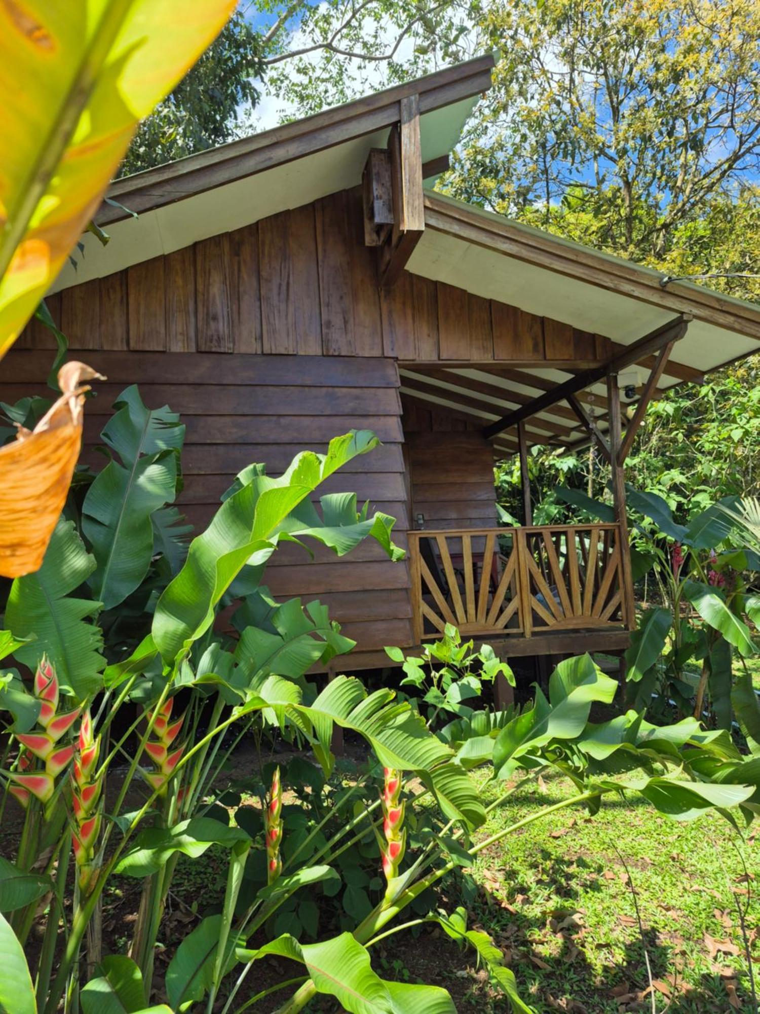 Centro Ananda Bed & Breakfast กวาปิเลส ภายนอก รูปภาพ