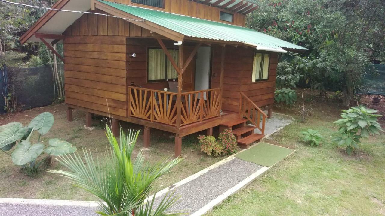 Centro Ananda Bed & Breakfast กวาปิเลส ภายนอก รูปภาพ