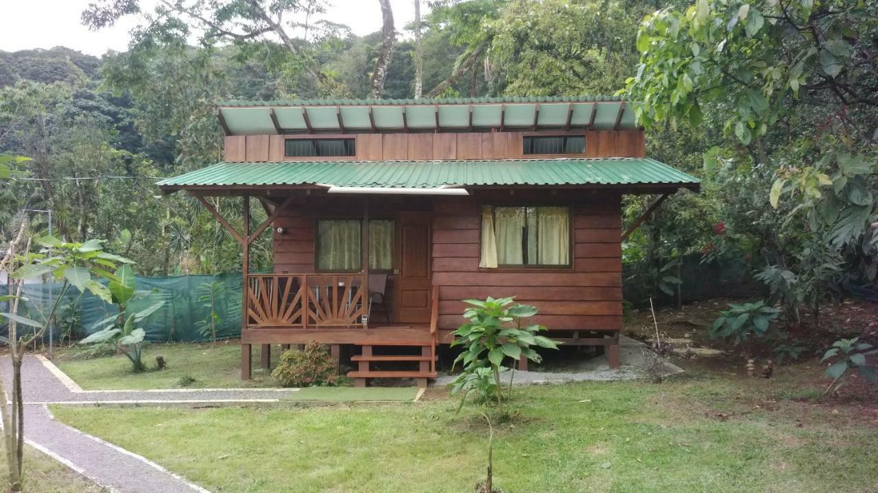 Centro Ananda Bed & Breakfast กวาปิเลส ภายนอก รูปภาพ